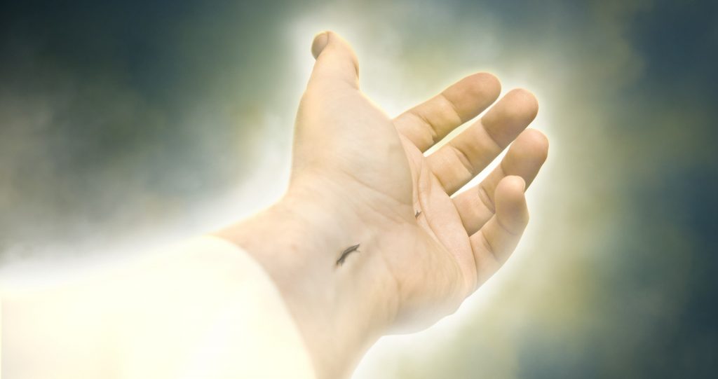 Venez à Moi vous tous