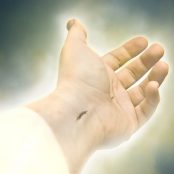 Venez à Moi vous tous